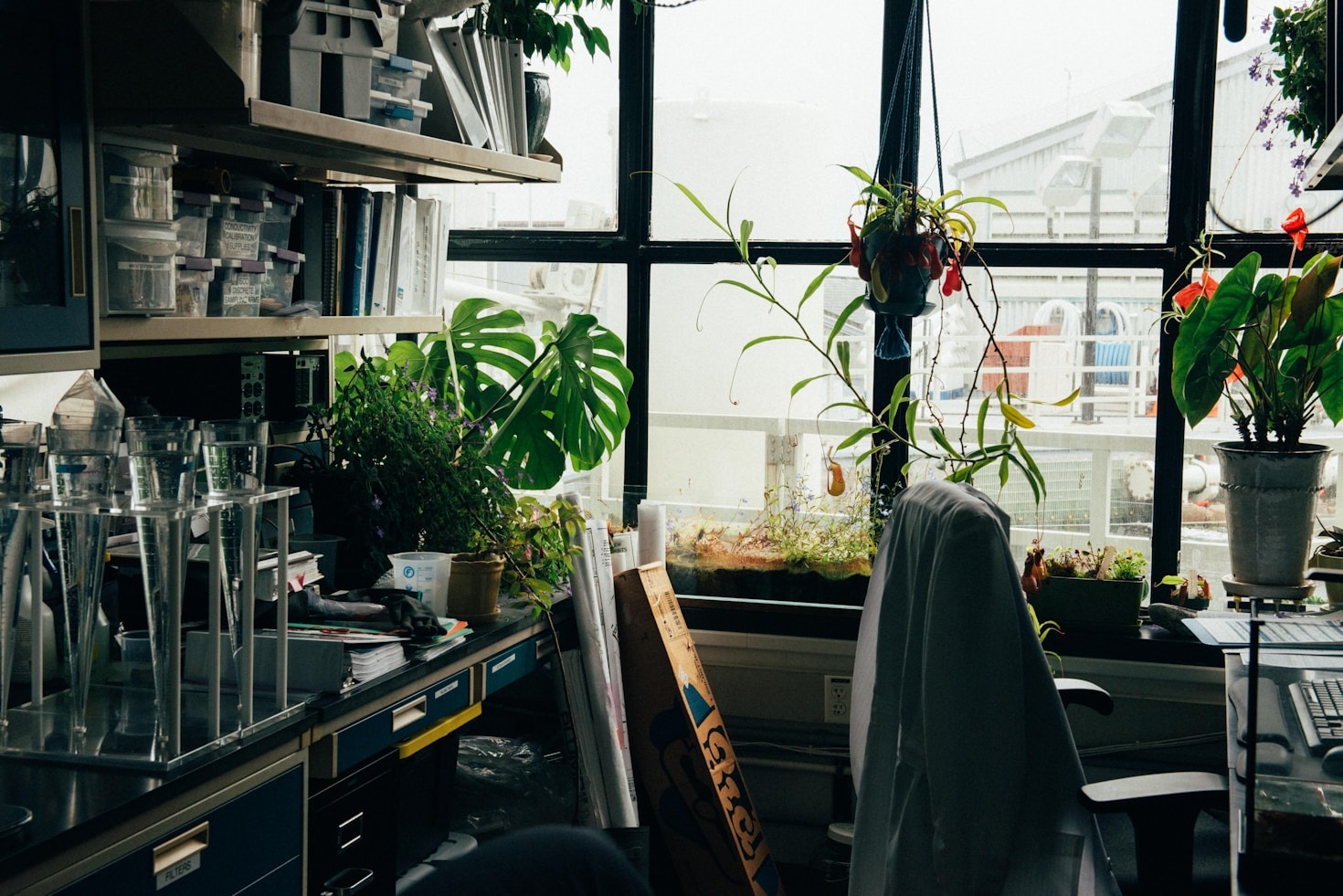 Balancing Academic Rigor with Environmental Activism